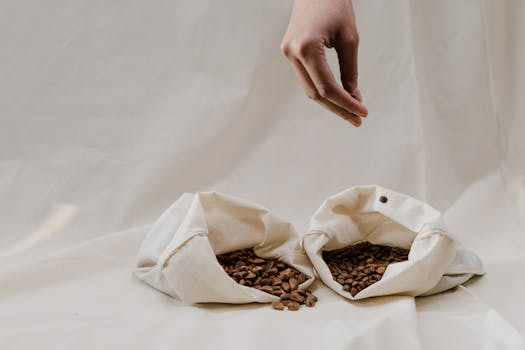 Brewing a Sustainable Future: The Rise of Ethical Coffee Culture